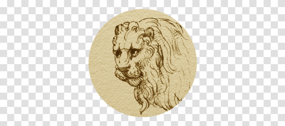 Shavian Masai Lion, Rug, Label, Text, Wood Transparent Png
