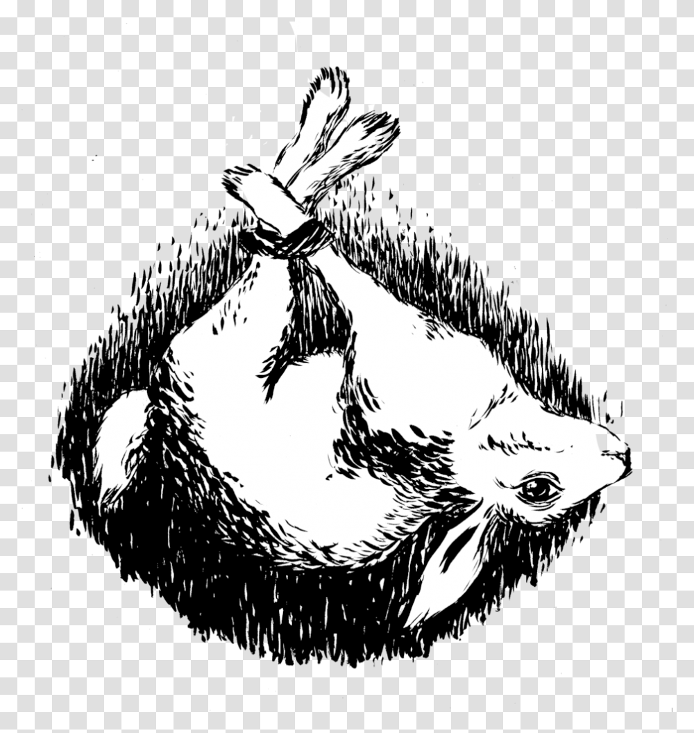 Shawn Ferreyra Sketch, Animal, Mammal, Hand, Pig Transparent Png