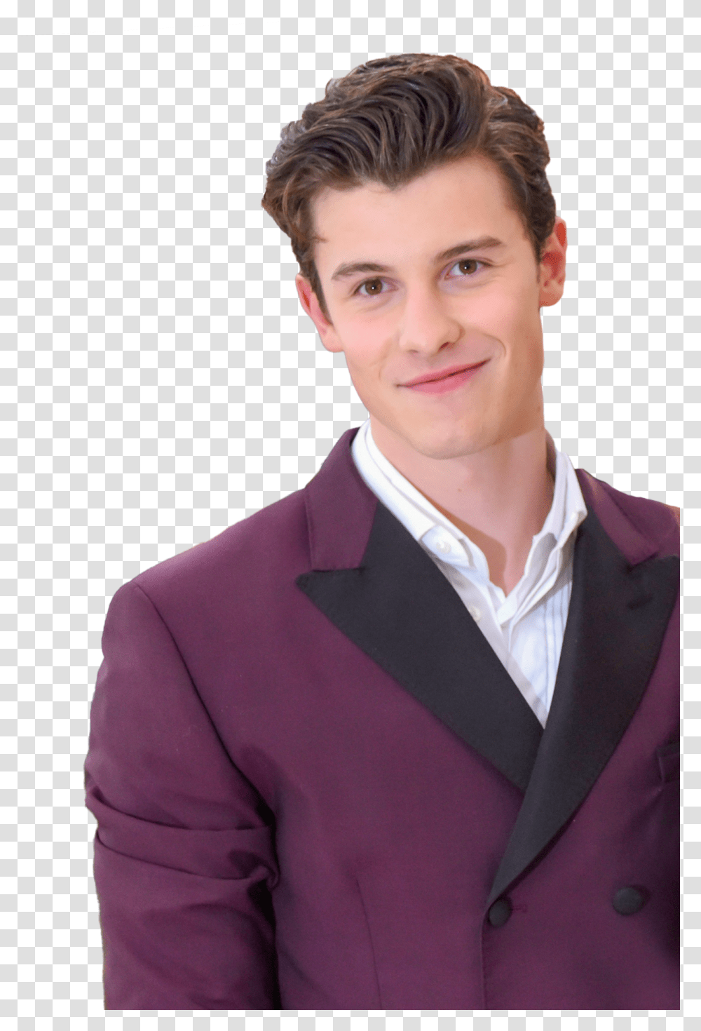 Shawn Mendes Fanblog Shawn Mendes Met Gala Alone, Person, Suit, Overcoat Transparent Png