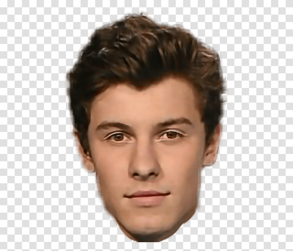 Shawn Mendes Head Download Shawn Mendes Head, Face, Person, Hair, Performer Transparent Png