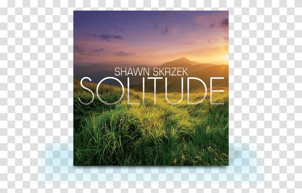 Shawn Skrzek Grass, Plant, Vegetation, Outdoors, Nature Transparent Png