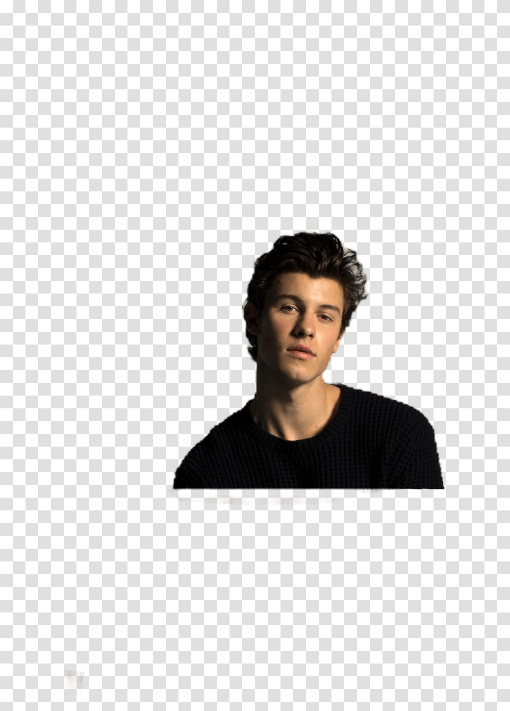 Shawnmendes Mendesarmy Shawn Mendes Inmyblood Shawn Mendes, Person, Face, Sleeve Transparent Png