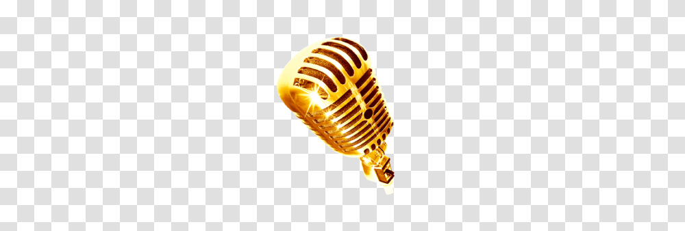Shc Podcast, Electrical Device, Microphone, Fungus Transparent Png