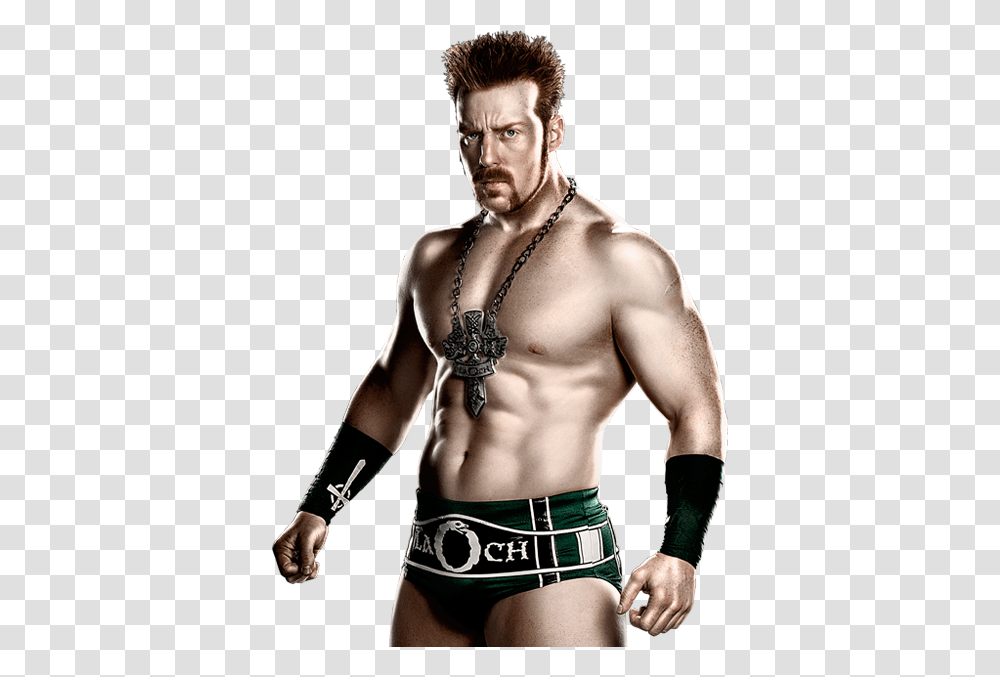 Sheamus Wwe Wwe Wwe Superstars And Wrestling, Person, Human, Back, Necklace Transparent Png