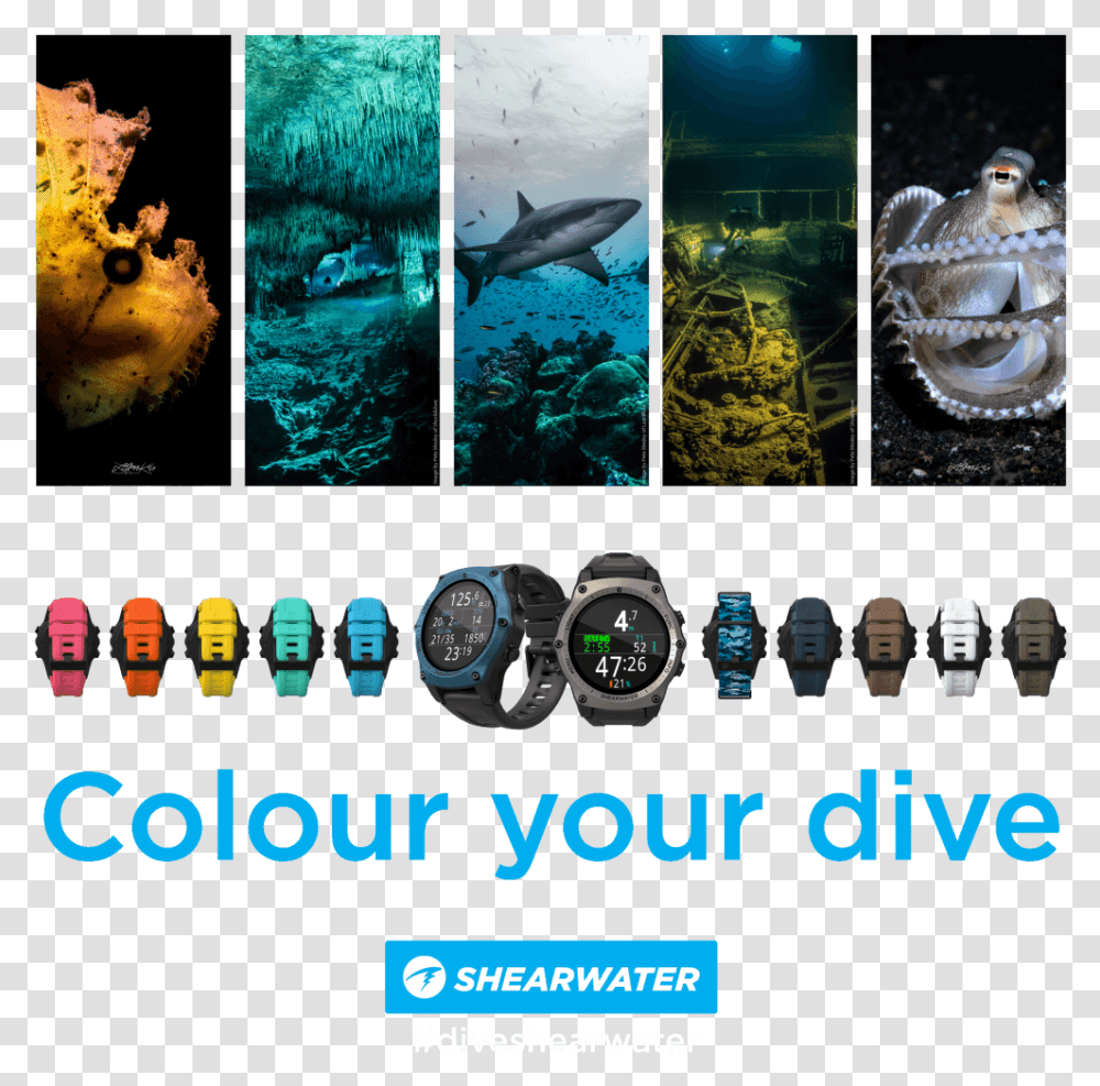 Shearwater Teric Colours, Wristwatch, Sea Life, Animal, Bird Transparent Png