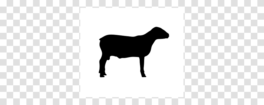 Sheep Silhouette, Stencil, Dog, Pet Transparent Png