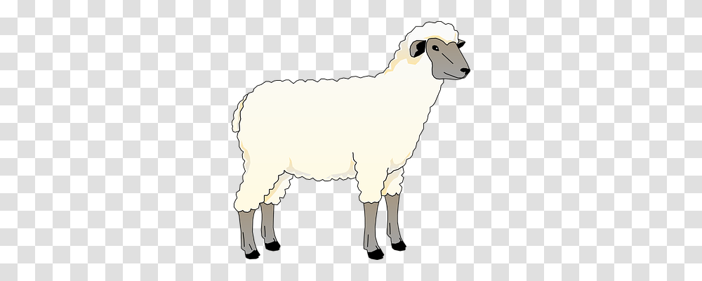 Sheep Animals, Mammal, Goat, Mountain Goat Transparent Png
