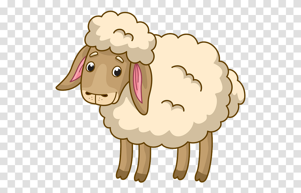 Sheep, Animal, Mammal, Bird Transparent Png