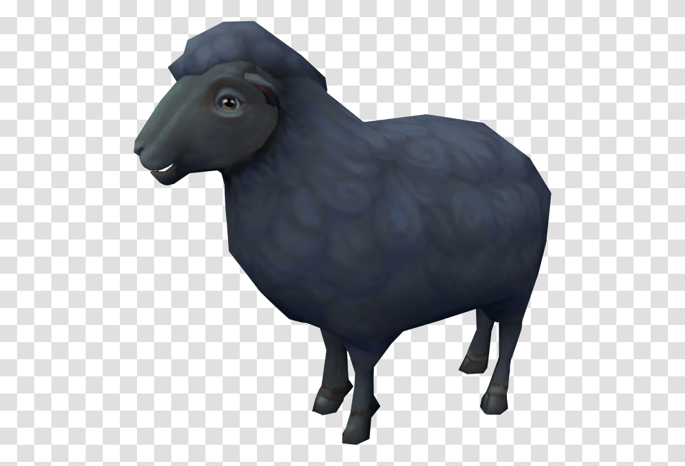 Sheep, Bird, Animal, Cow, Mammal Transparent Png