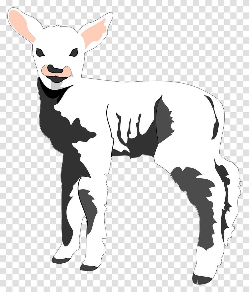 Sheep Clip Art, Animal, Mammal, Goat, Person Transparent Png