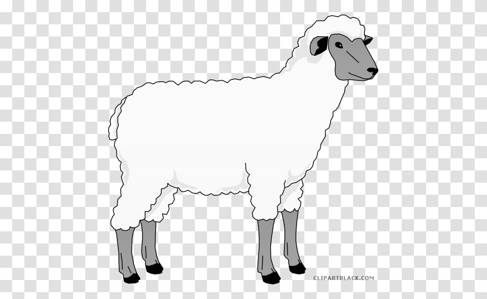 Sheep Clip Art Clipart Goat Merino Clip Art Sheep Clipart, Mammal, Animal, Mountain Goat, Wildlife Transparent Png
