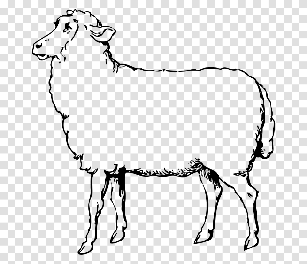 Sheep Clip Art, Gray, World Of Warcraft Transparent Png