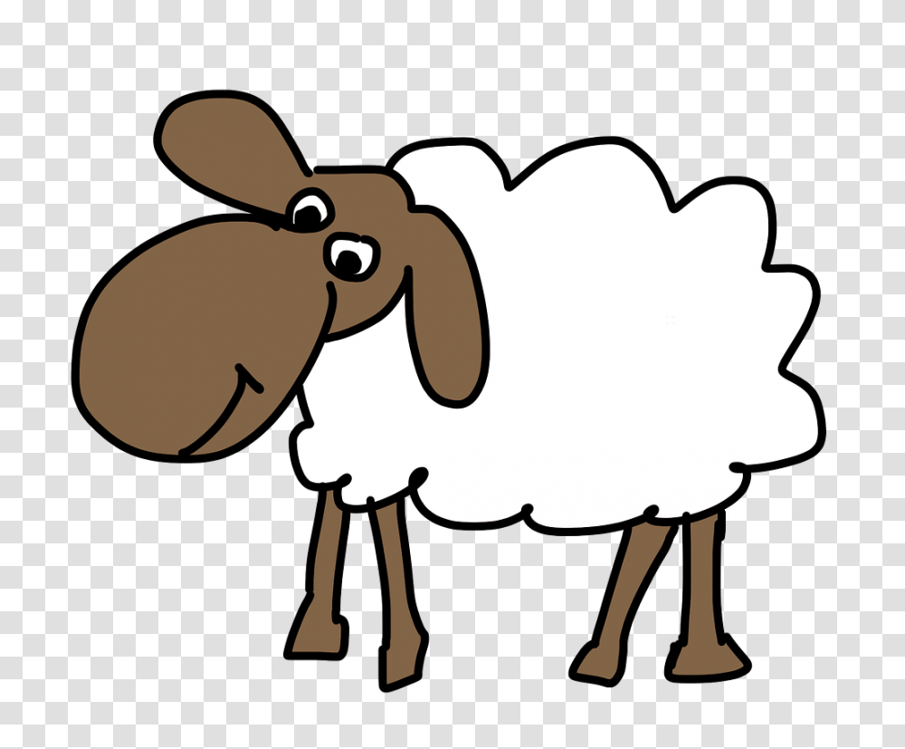 Sheep Clipart, Animal, Mammal, Goat Transparent Png