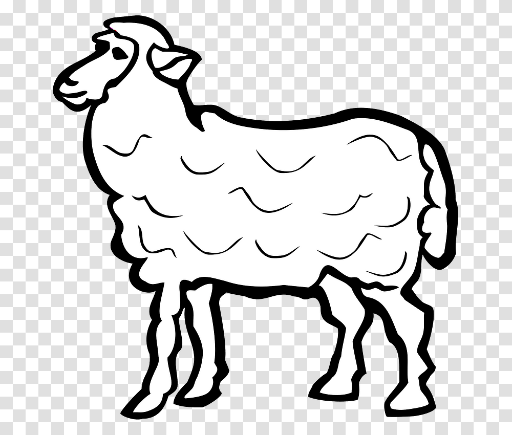 Sheep Clipart Arabic Name Of Sheep, Mammal, Animal, Goat, Bird Transparent Png