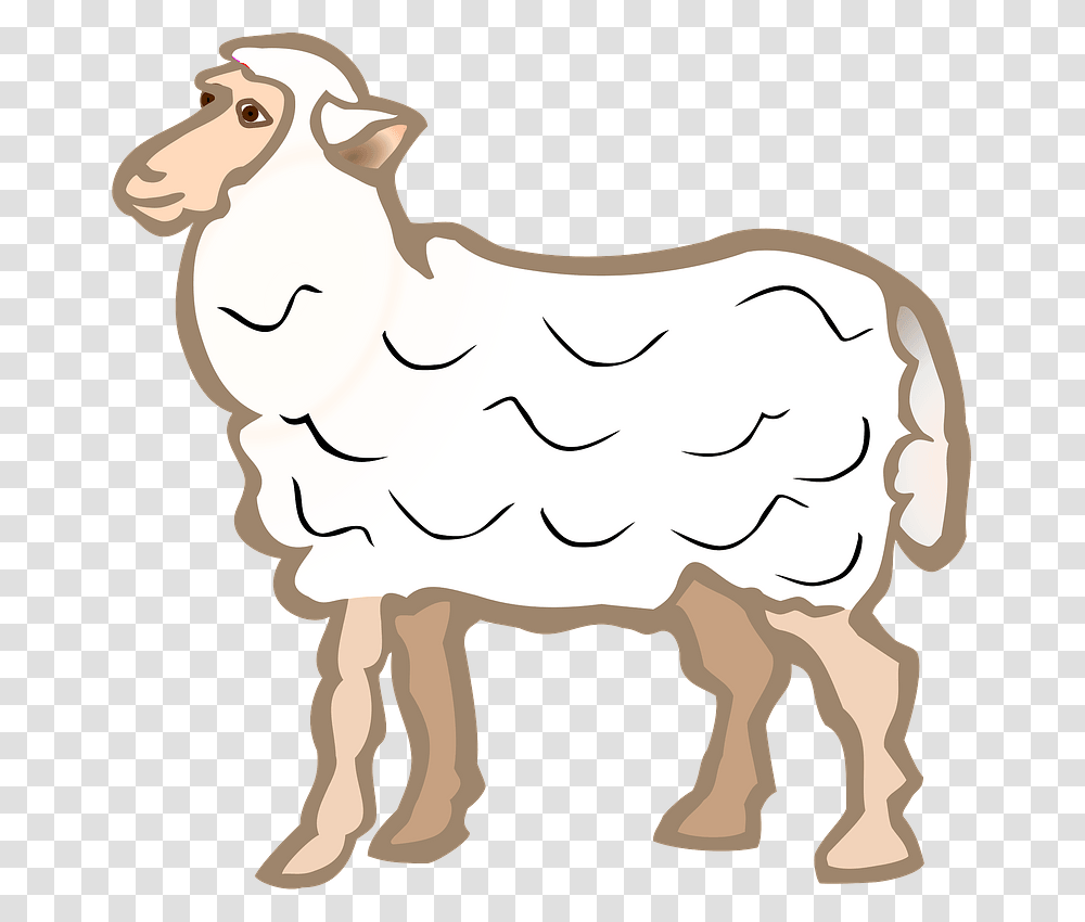Sheep Clipart Sheep Coloured, Animal, Mammal, Goat Transparent Png