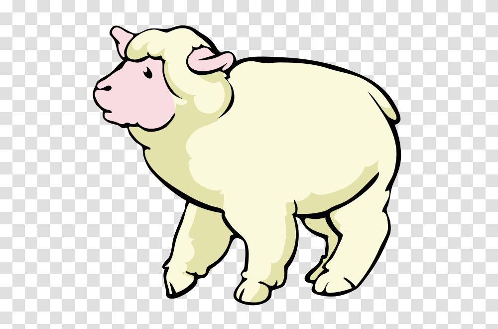 Sheep Clipart Small, Mammal, Animal Transparent Png