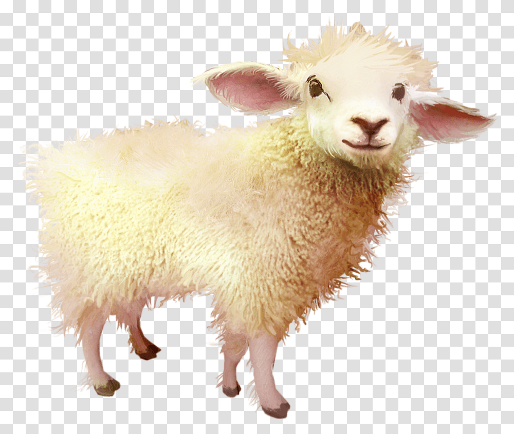 Sheep Download Baby Sheep, Mammal, Animal Transparent Png