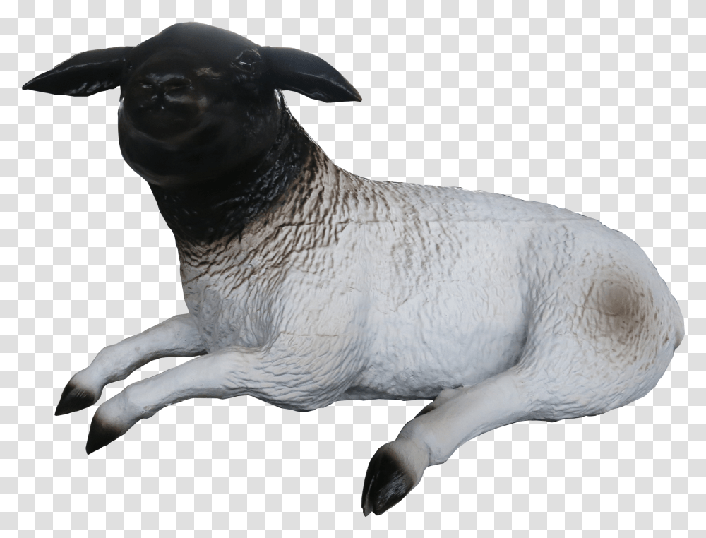 Sheep Download Dog, Mammal, Animal, Seal, Sea Life Transparent Png