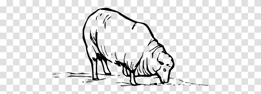 Sheep Eating Clip Art, Bull, Mammal, Animal, Cattle Transparent Png