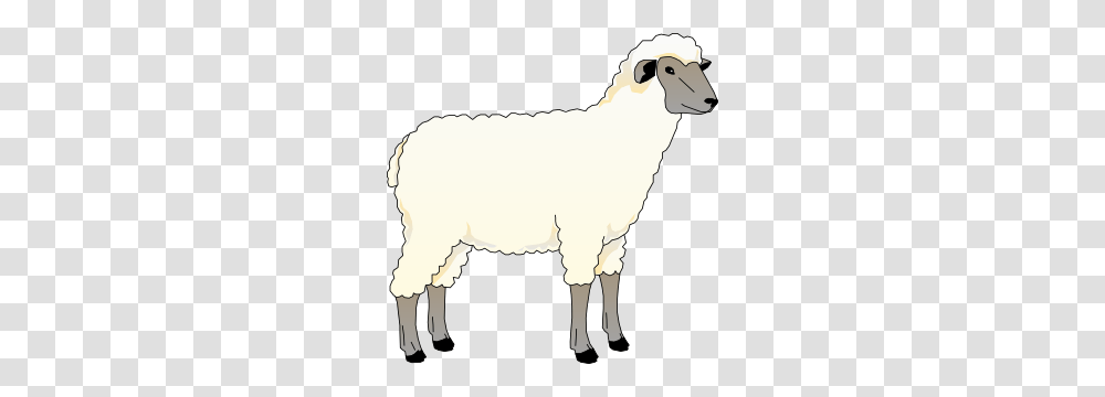 Sheep Ewe Clip Art Free Vector, Mammal, Animal, Goat Transparent Png