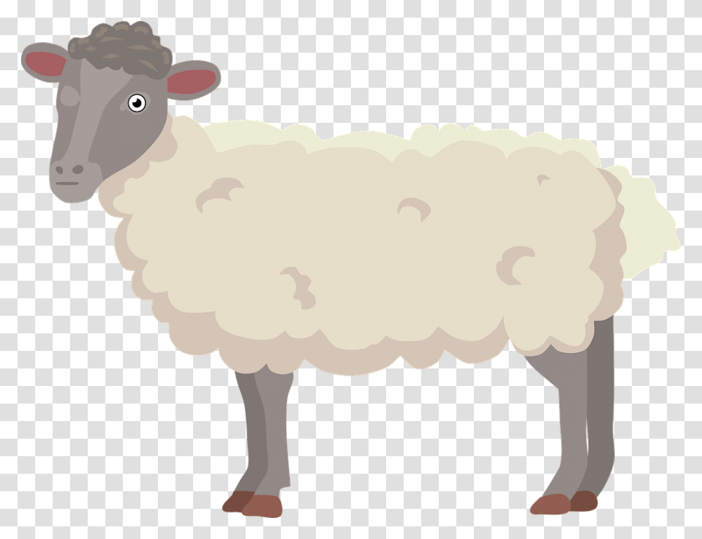 Sheep Fur Cartoon, Mammal, Animal, Fungus Transparent Png