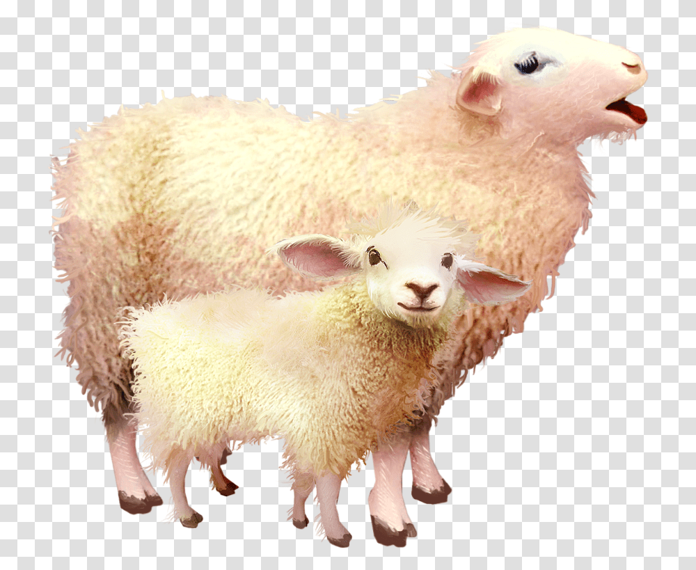 Sheep Mama Baby Freetoedit Baby Sheep, Mammal Transparent Png