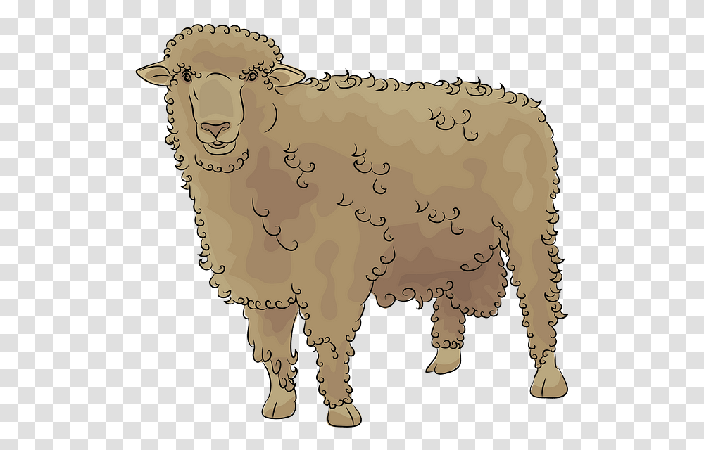 Sheep, Mammal, Animal, Painting Transparent Png