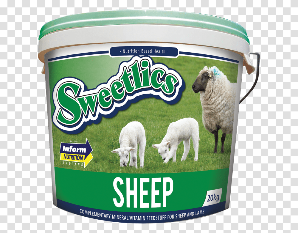 Sheep, Mammal, Animal, Tin Transparent Png