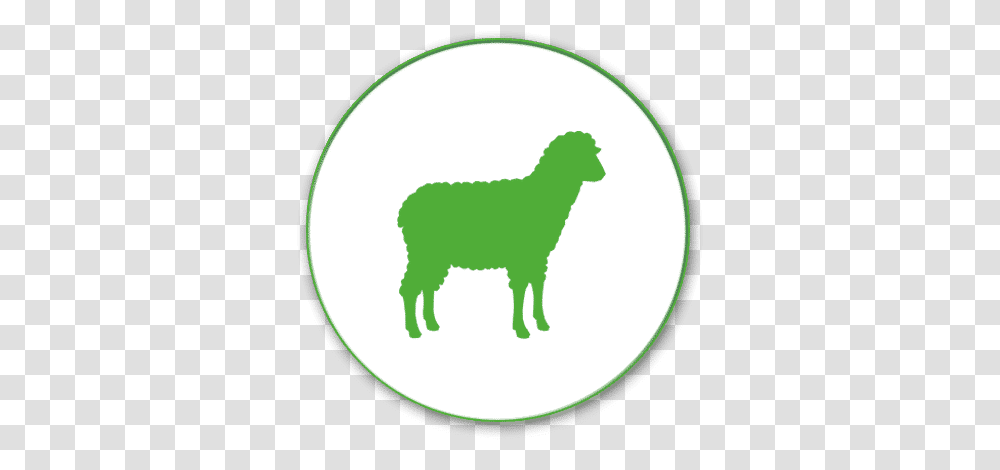 Sheep Pancosma Animal Feed, Mammal, Dog, Pet, Canine Transparent Png