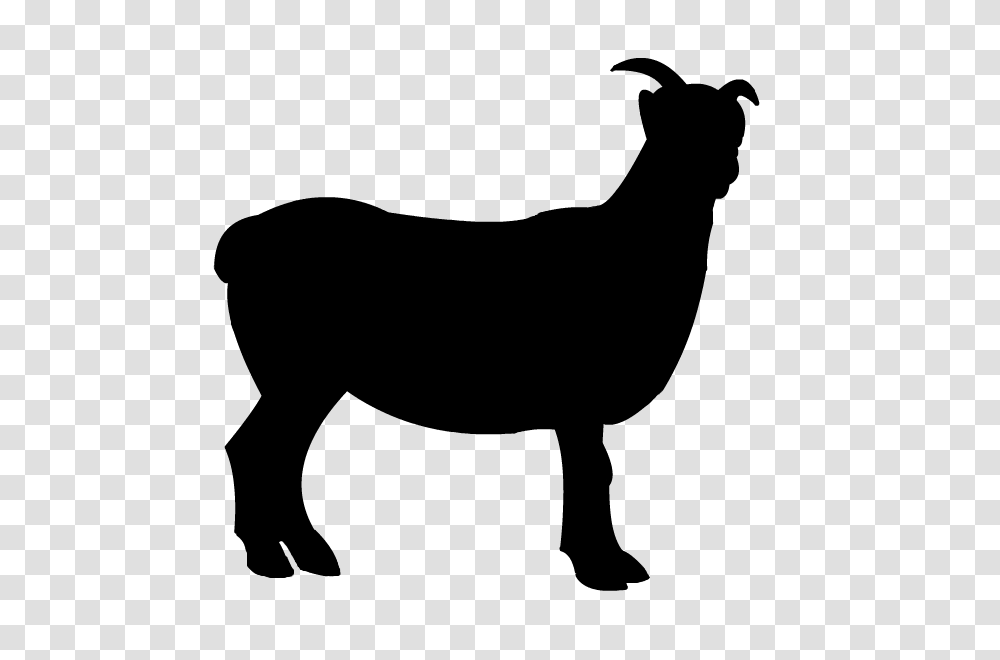 Sheep Pictures Free, Gray, World Of Warcraft Transparent Png