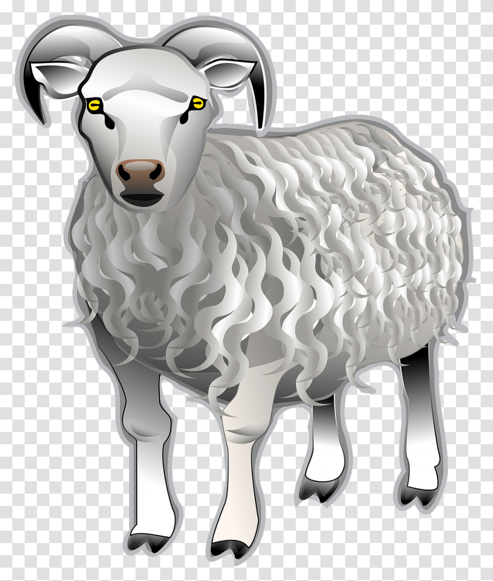 Sheep Ram Animal Free Photo Clip Art Kambing, Mammal Transparent Png