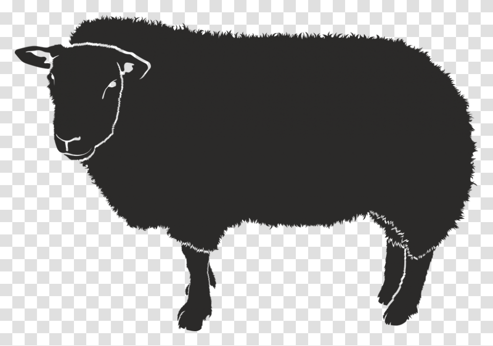 Sheep Silhouette Black Isolated Form Animal Shadow Sheep Shadow, Mammal, Pig, Hog, Buffalo Transparent Png