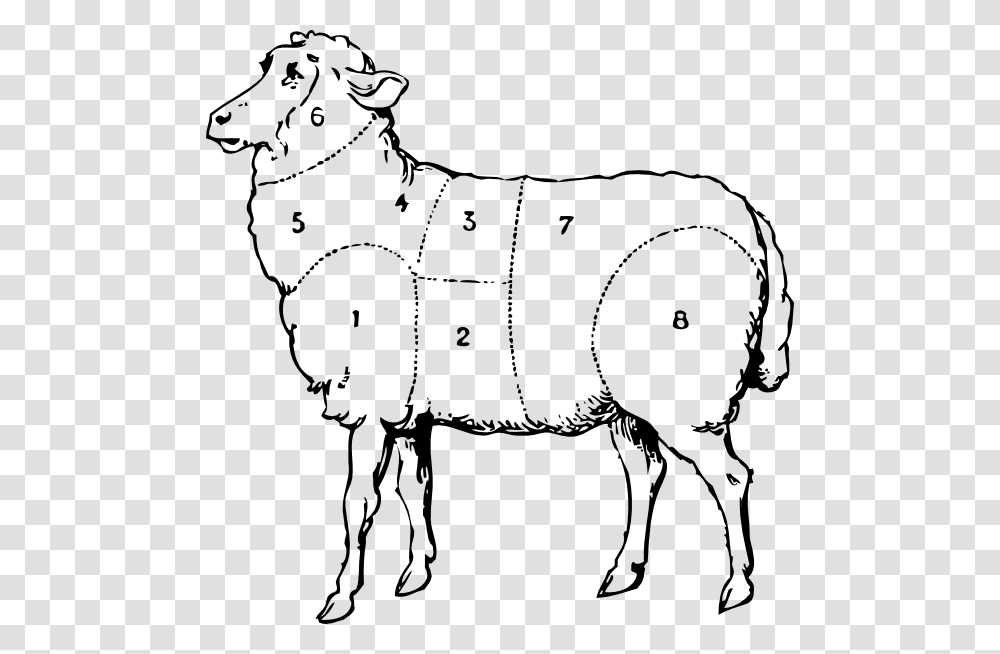 Sheep Svg Clip Arts Sheep Black And White Clipart, Label, Animal, Mammal Transparent Png