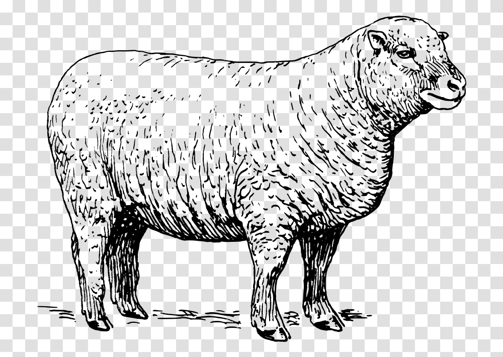 Sheep Svg Clip Arts Sheep Black And White, Gray, World Of Warcraft Transparent Png
