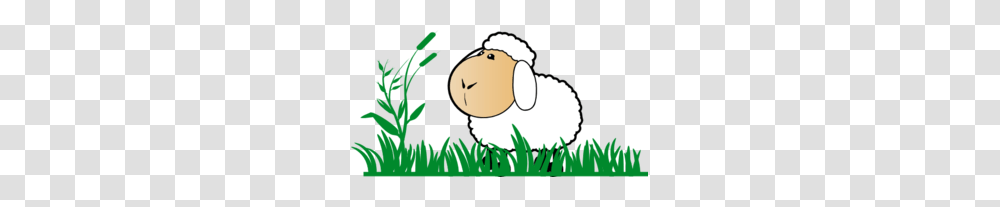 Sheep With Grass Clip Art, Animal, Mammal, Bird, Plant Transparent Png
