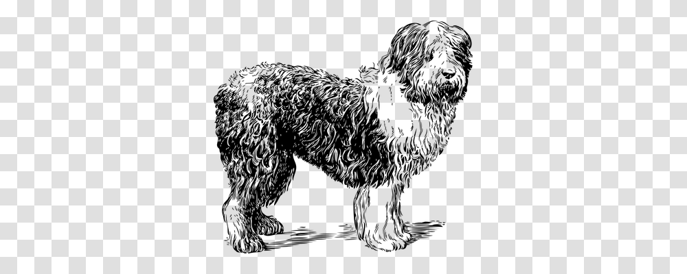 Sheepdog Animals, Gray, World Of Warcraft Transparent Png