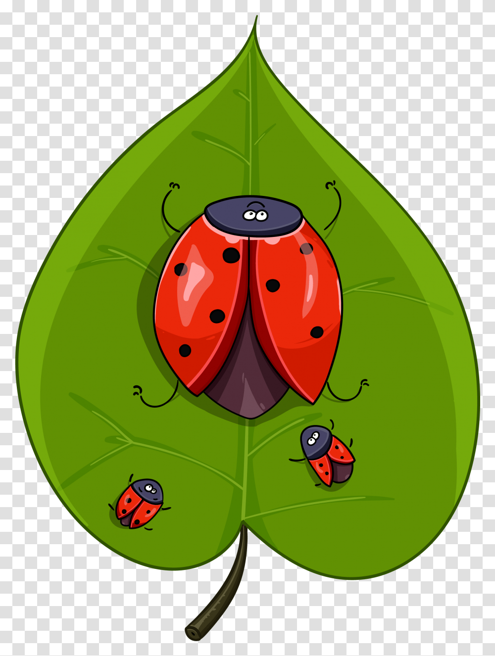 Sheet Beetle Ladybug Insect Red Nature Leaves Ladybird Beetle, Plant, Fruit, Food, Strawberry Transparent Png