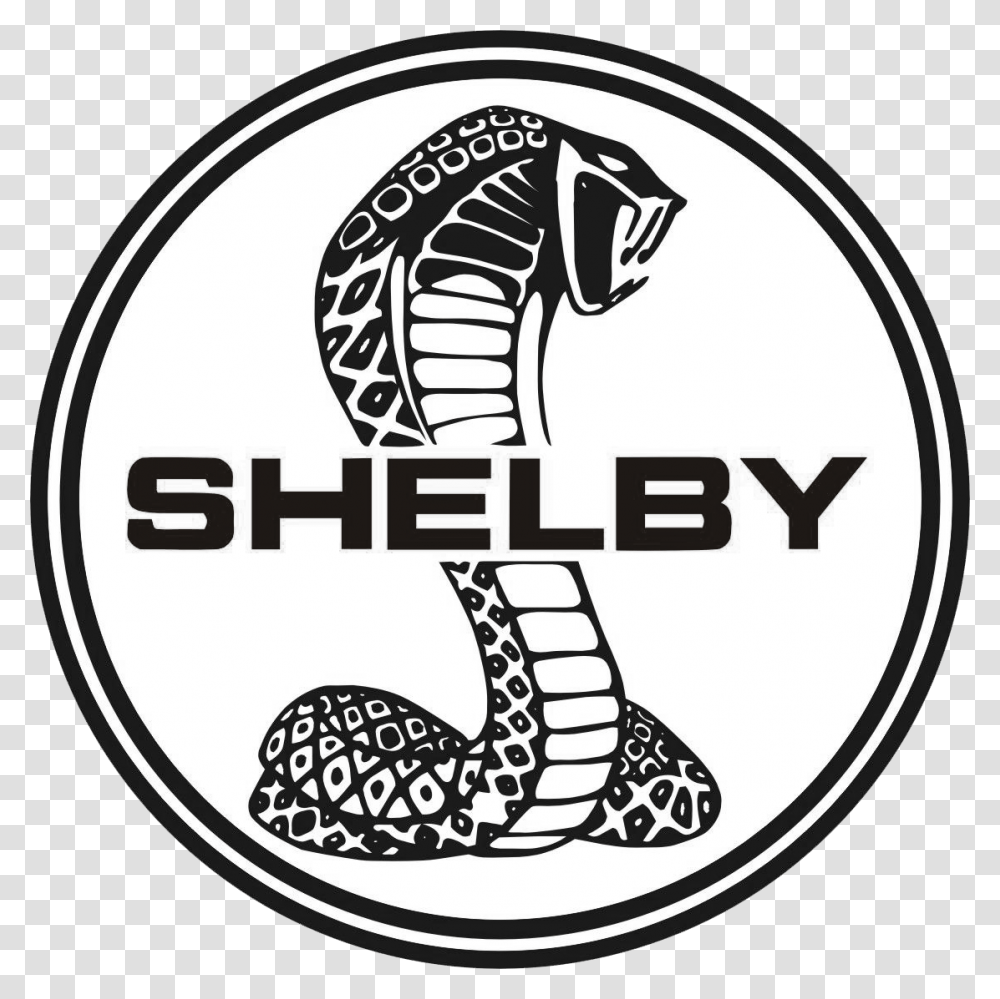 Shelby Shelby Images, Label, Sticker, Logo Transparent Png