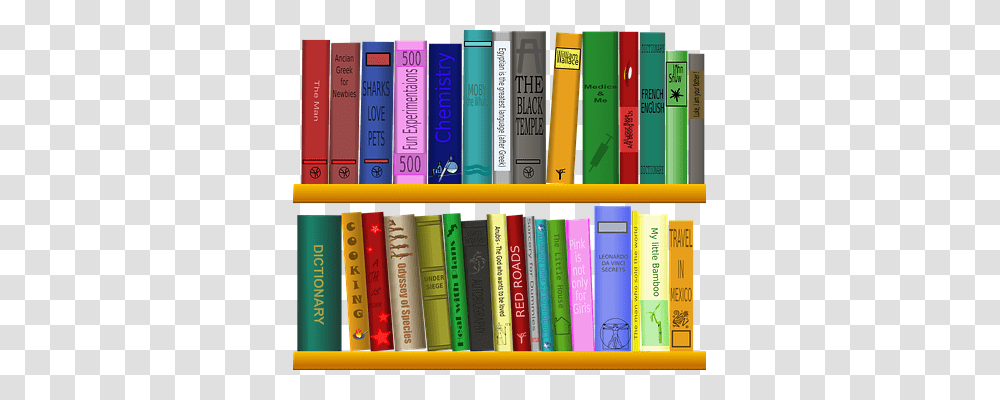 Shelf Education, Furniture, Bookcase, Room Transparent Png