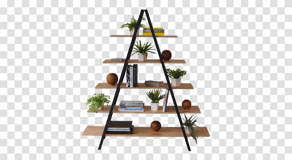 Shelf, Plant, Wood, Tabletop, Furniture Transparent Png