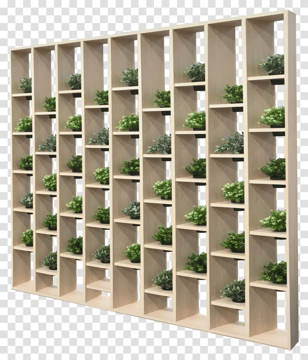 Shelf Transparent Png