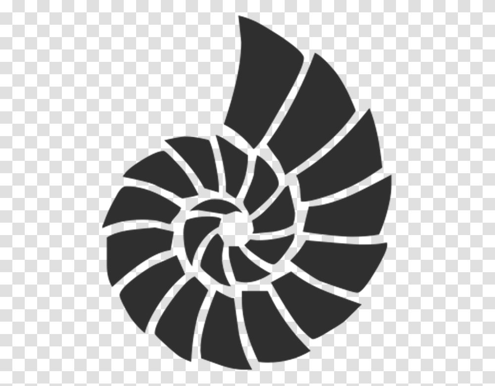 Shell 960, Spiral, Coil Transparent Png