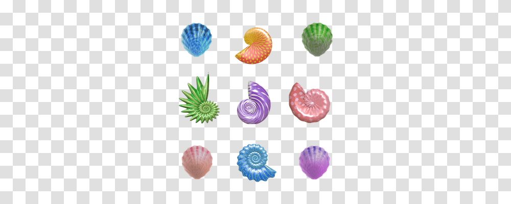 Shell Holiday, Sea Life, Animal, Invertebrate Transparent Png