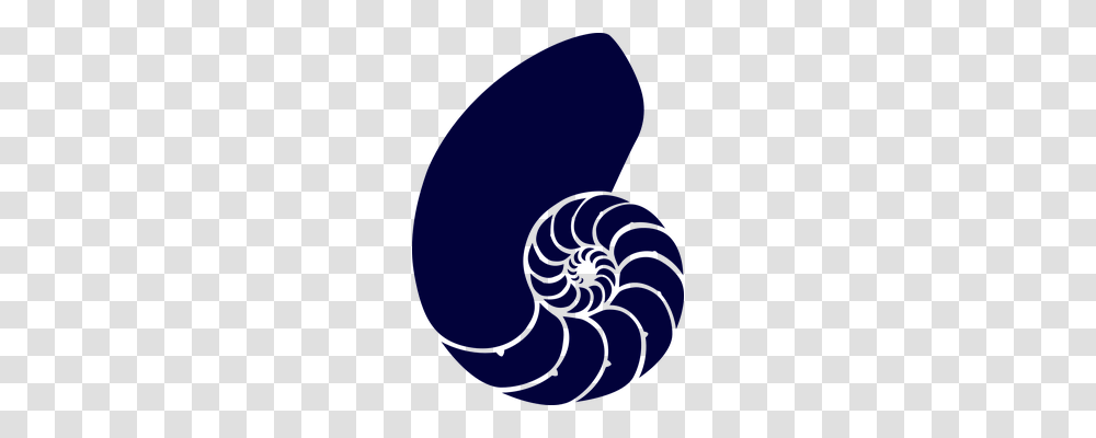 Shell Animals, Spiral, Coil, Sea Life Transparent Png