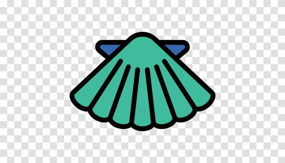 Shell, Clam, Seashell, Invertebrate, Sea Life Transparent Png