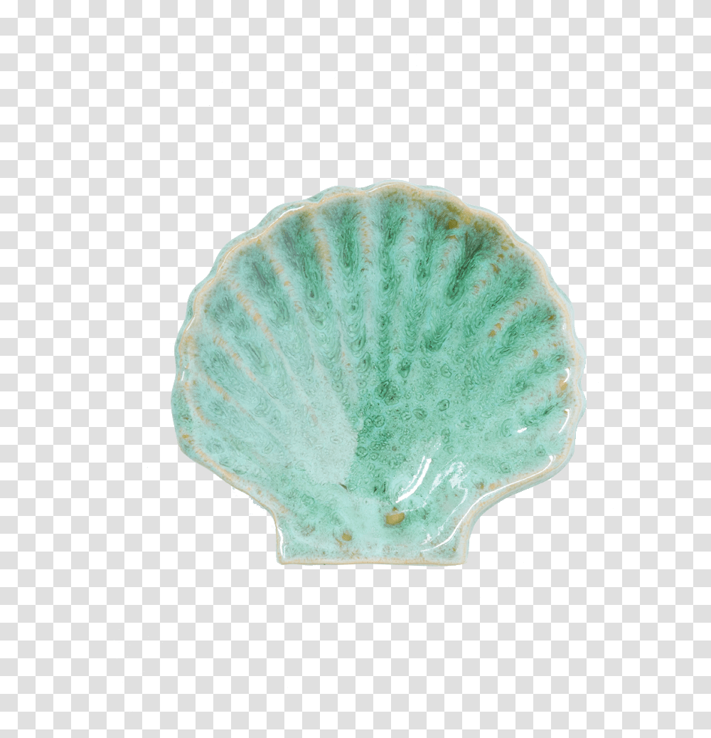 Shell, Clam, Seashell, Invertebrate, Sea Life Transparent Png