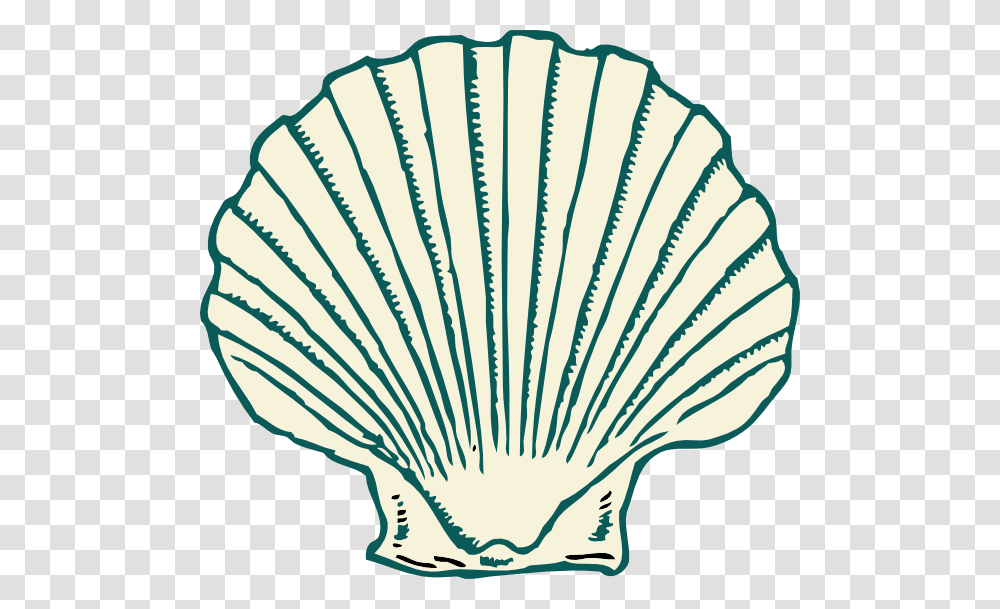 Shell Clip Art, Clam, Seashell, Invertebrate, Sea Life Transparent Png
