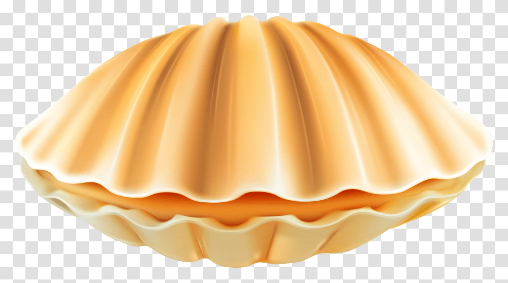 Shell Clip Art Clam Shell Transparent Png