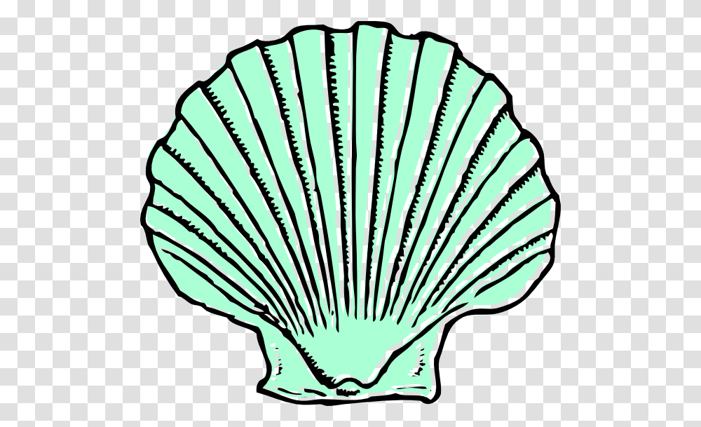 Shell Clipart, Clam, Seashell, Invertebrate, Sea Life Transparent Png