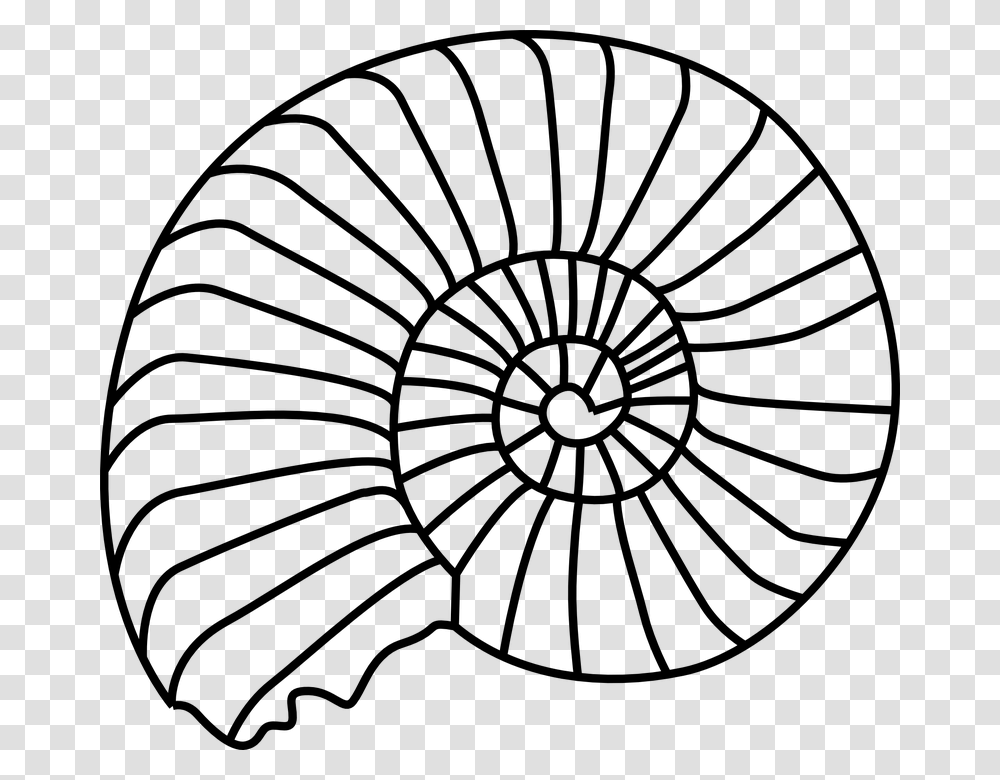 Shell Clipart Drawing Shell Drawing Free For Download, Gray, World Of Warcraft Transparent Png